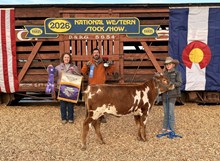 CTA GLEAMING OLYMPIA