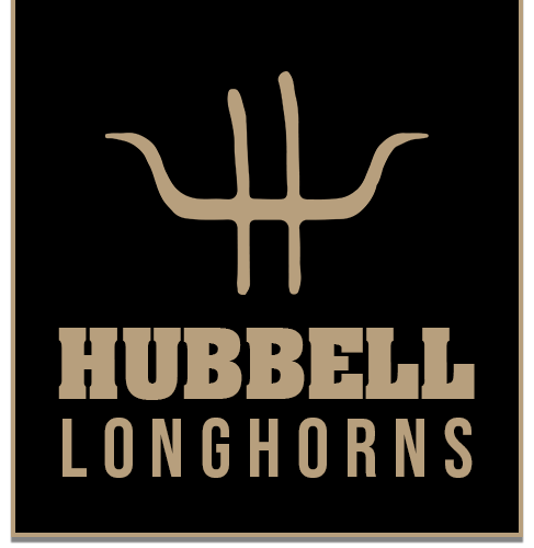 Hubbell Longhorns logo